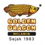 Golden Dragon Melamine
