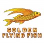 Golden Dragon Flying Fish